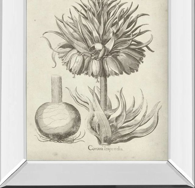 Classy Art Fresco Crown Imperial II by Vision Studio Mirror Framed Wall Art-1