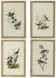 A & B Home 4-Piece Brown Bird Framed Print Wall Art Set-0