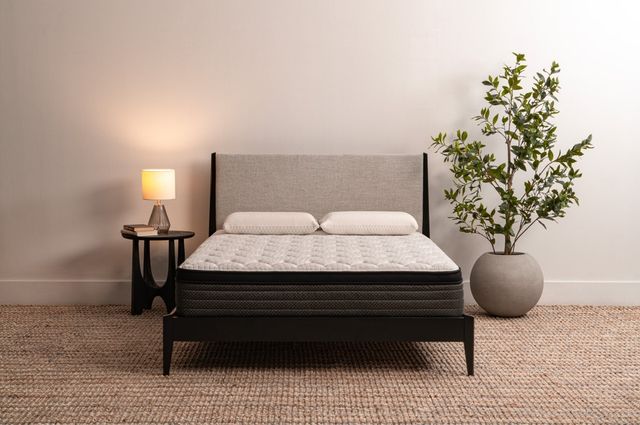 Southerland™ Studio 11.5" Wrapped Coil Plush Euro Top Twin Mattress-1