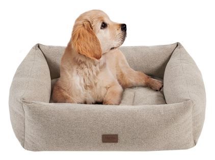 Olliix by Martha Stewart Charlie Tan 23" x 28" + 9" Four Sided Bolster with Ortho Base and Removable Cover-2