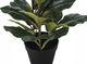 Monarch Specialties Inc. Green/Black 32" Artificial Potted Fiddle Tree-1