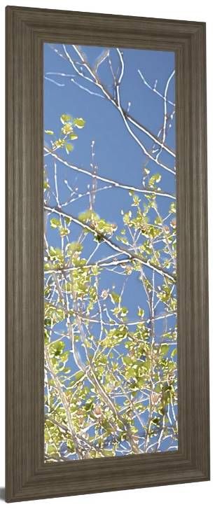 Classy Art Spring Poplars IV by Sharon Chandler Wall Art-1