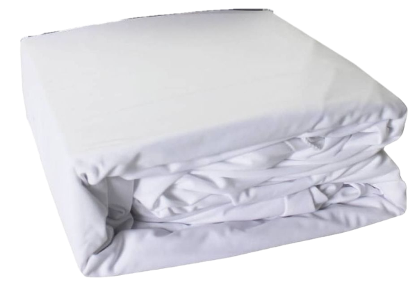 BedTech Fully Encased Queen Protector-1