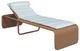 Century® Customizable August Natural Materials Outdoor Chaise-0