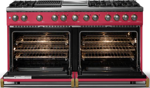 Viking® 5 Series 60" Valentine Pro Style Dual Fuel (LP) Range with Brushed Brass Trim-1