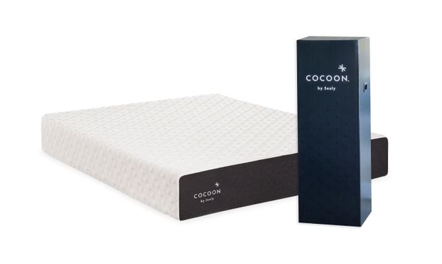 Sealy Cocoon by Sealy Classic 10 Sealy Cocoon by Sealy Classic 10