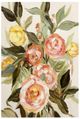YHD Soft Bloom II Canvas-0