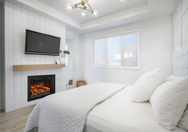 Napoleon Rosedale™ 3 Series 29'' Black Insert Electric Fireplace-3