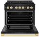 ZLINE Marino 36" Black Stainless Steel Pro Style Dual Fuel Range with 6-Burner DuoPro™ Cooktop and Electric Convection Oven and Polished Gold Accents-1
