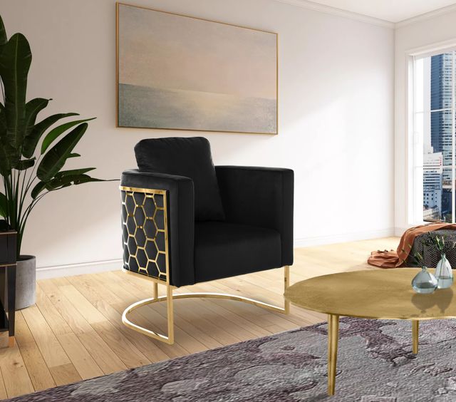 Meridian Furniture Casa Black/Gold Velvet Chair-2