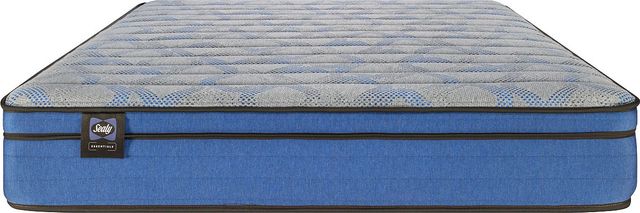Sealy® Nilo 11.5" Wrapped Coil Firm Euro Top King Mattress-2