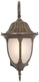 YHD Merili Brown 10'' Fluorescent Exterior Lighting-3