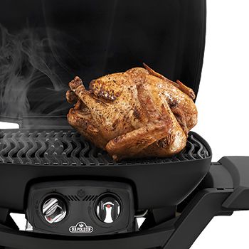 Napoleon TravelQ™ PRO285X Professional 2-Burner Black Portable Natural Gas Grill-10