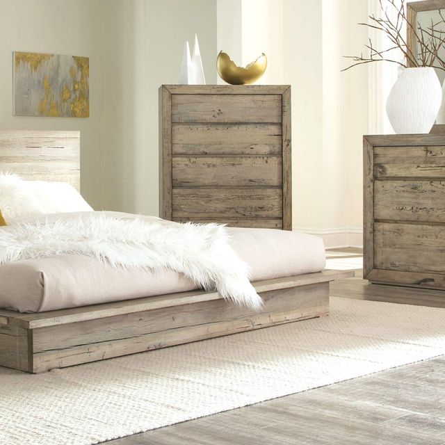 Napa Furniture Design Renewal Weathered Natural Driftwood Chest-2