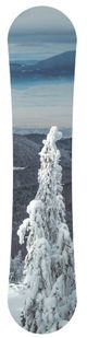 YHD Champagne Powder Wall Art-2