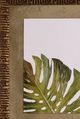 Stylecraft Beige/Brown/Green Framed Print-1