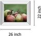 Classy Living Rachel Perry Comice Pear Il 22" Wall Art-2