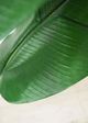 Le Present Ravenala Green 52" Faux Botanical-1