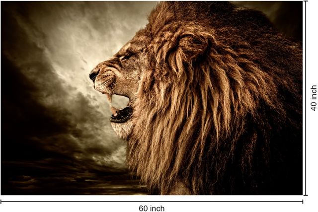 Classy Living Hear me Roar Wall Art-2