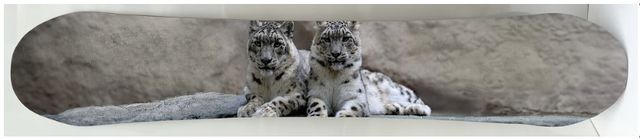 Classy Living Exhilarating Snowboard with Snow Leopards Decko-Board Wall Art-0