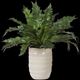 Uttermost® Verdure Fern Green Centerpiece in Glazed Pot-0