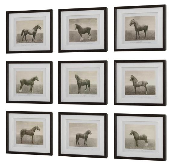 Uttermost® Equine Dynasty 9-Piece Framed Print Set-3