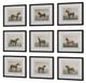 Uttermost® Equine Dynasty 9-Piece Framed Print Set-3