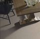 Shaw® Floors Simply The Best Translate Oatmeal Carpet-3