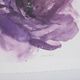 Olliix by Madison Park Signature Purple Set of 2 Purple Ladies Rose Frame Graphic Print-4