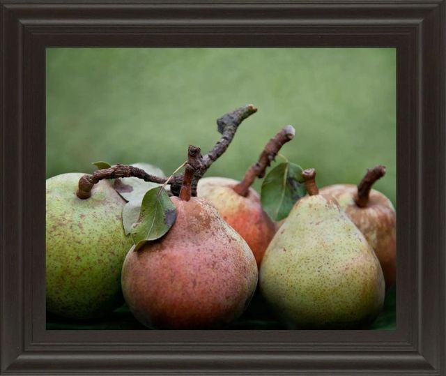 Classy Art Comice Pear I by Rachel Perry Wall Art-0