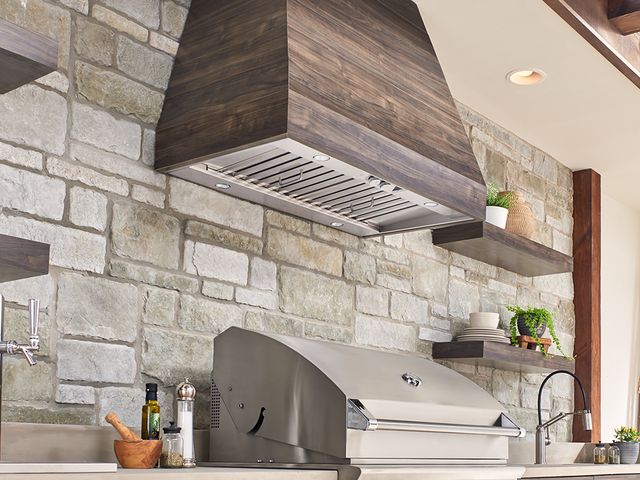 Zephyr Pro Collection Spruce 48" Stainless Steel Outdoor Insert Range Hood-2