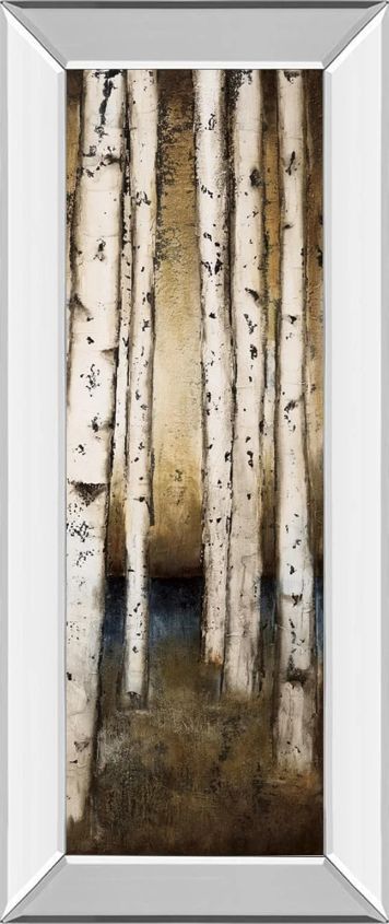 Classy Art Birch Landing III by St Germain Mirror Framed Wall Art-0