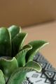 A & B Home Green Tealight Candle Holder-1