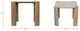 Nest Home Collections Esme Nordic Natural/Sabbia Travertine 26" Square End Table-2