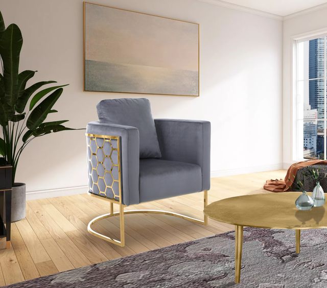 Meridian Furniture Casa Grey/Gold Velvet Chair-2