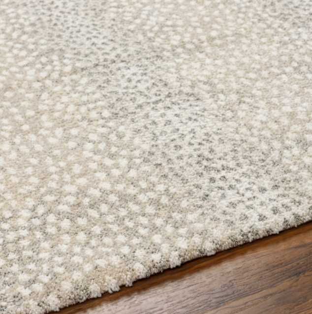 Surya Gavic Beige/Gray 4'x6' Area Rug-1