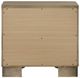 ACME Furniture Lakkari Antique Oak Nightstand-5