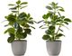 Monarch Specialties Inc. 2-piece 14" Artificial Plant with Pot-0