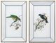 A & B Home 2-Piece Blue/Green Mirrored Frame Bird Wall Art Print Set-1
