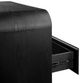 Modus Furniture Elora Jet Black Ash Chest-4