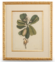 Chelsea House Gold Leaf Catesby Bird & Botanical III-0