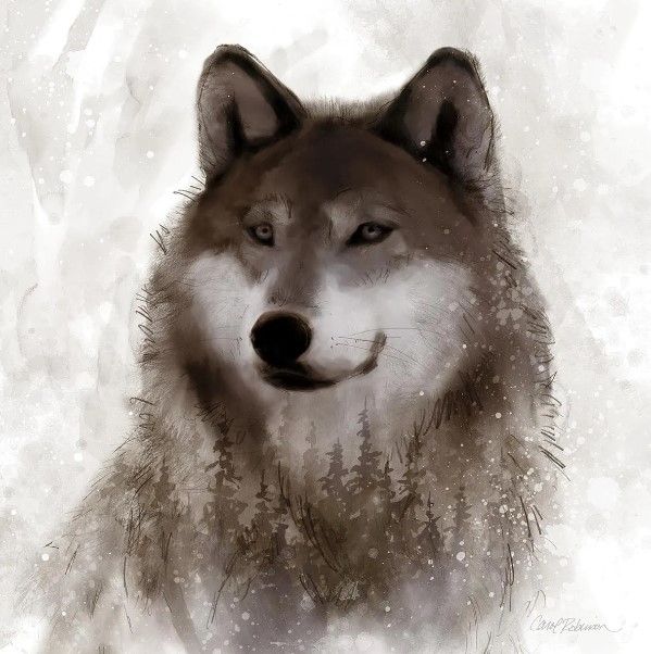 Classy Art Forest Wolf  by Carol Robinson Wall Art-0