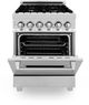 ZLINE 24" Stainless Steel Pro Style Dual Fuel Range-4