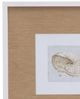 Bassett Mirror 4-Piece Neutral Shell Fresco Framed Print Set-1