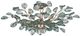 Currey & Company Baobab Clear/Silver Semi-Flush Mount-1