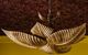 Wildwood Lamps Naples Palm Antique Gold Chandelier-1