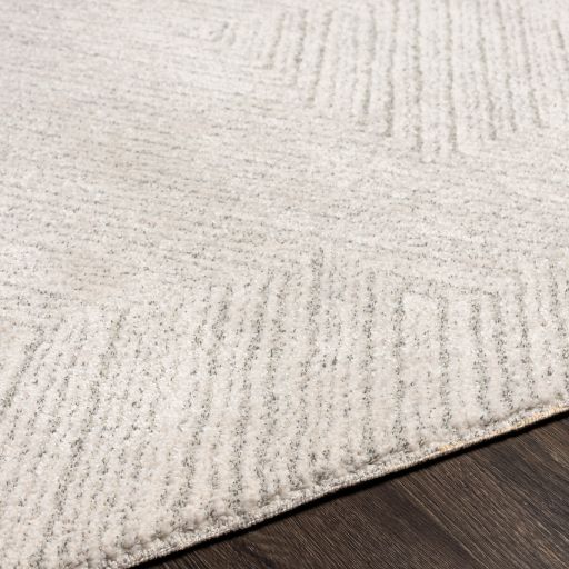 Surya Gavic Charcoal/Cream 8'x10' Area Rug-3