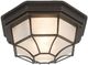 YHD Serge Oil Rubbed Bronze Incandescent Exterior Lighting-0