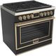 Fulgor Milano® Evoque 400 Series 36” Matte Black Pro Style Dual Fuel Range with Brushed Brass Trim-0