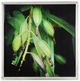 A & B Home 2-Piece Green Botanical Photography Wall Art Set-1
